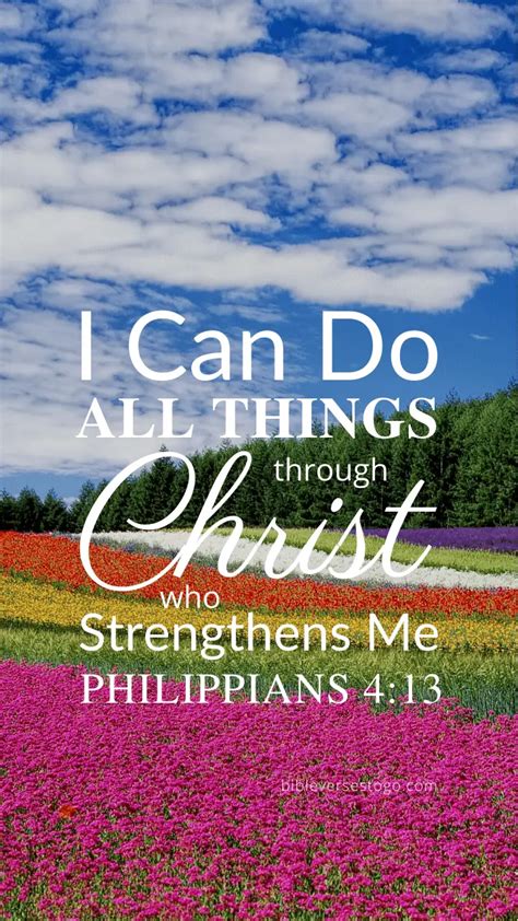 Flowerfield Phil 4:13 – Encouraging Bible Verses