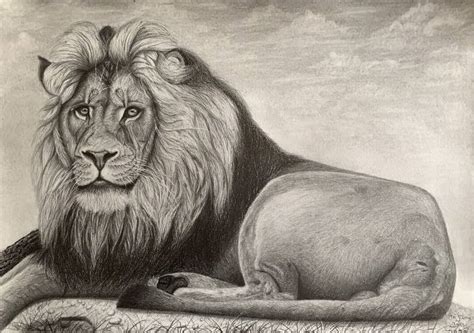 Lion Drawing by Anjana Jain | Saatchi Art