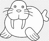 Walrus Coloring Pages For Kids sketch template