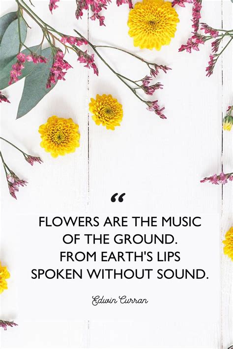 35 Inspirational Flowers Quotes About Life