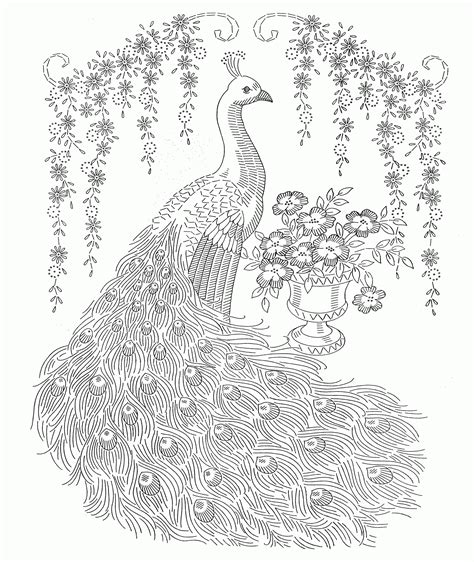 Free Adult Coloring Pages Peacock, Download Free Adult Coloring Pages ...