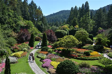 The Butchart Gardens is one of the top tourist attractions in Victoria, British Columbia and ...