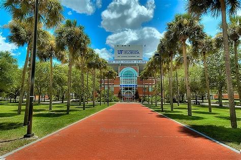 University of Florida ⋆ College Magazine