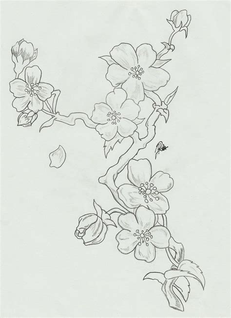 Sketch Cherry Blossom Tree Drawing - Japanese Tree Sketch at ...