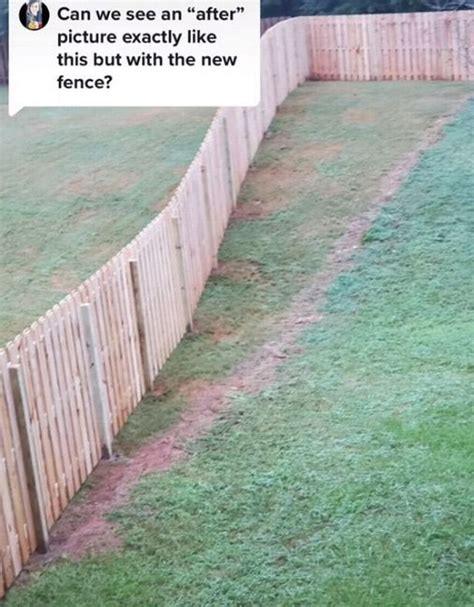 Woman takes 'ultimate revenge' on cheeky neighbour who built a fence through her garden - Wales ...