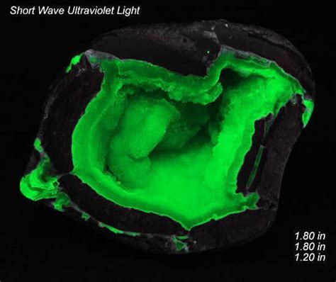 Description: Dugway Geode (Fluorescent) – Location: Dugway Mnt, Juab Co ...