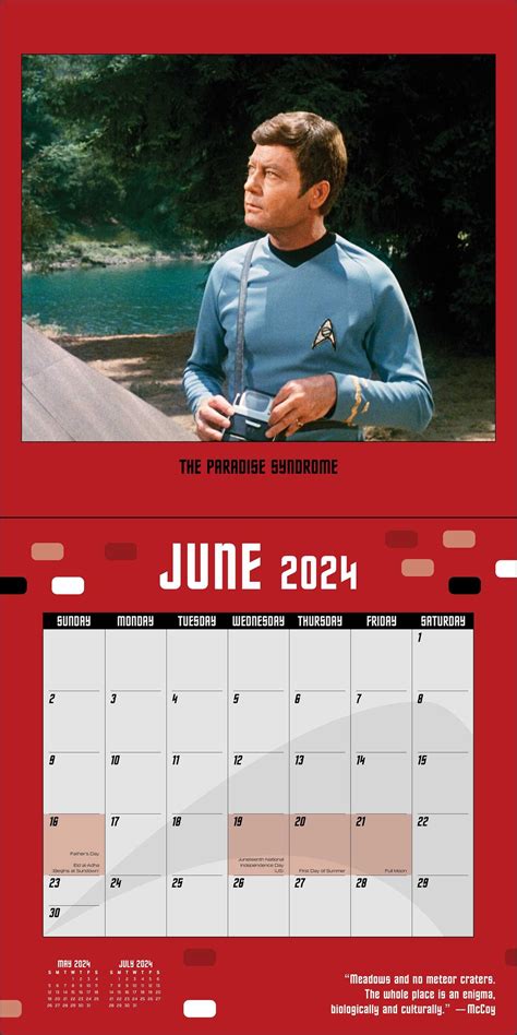 Star Trek Cat Calendar 2024 - Dareen Maddalena