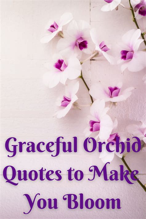 63 Unique Orchid Quotes To Help You Bloom - Darling Quote