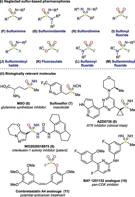 Less common sulfur functional groups and examples of their use in ...