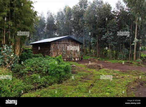 Traditional rural house, Rwanda Stock Photo - Alamy