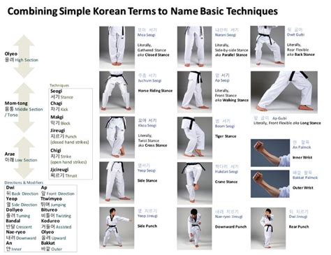 Taekwondo Vocabulary | Taekwondo Wiki | FANDOM powered by Wikia | Taekwondo techniques ...