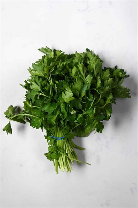 Parsley vs Cilantro: What's the Difference? - Alphafoodie