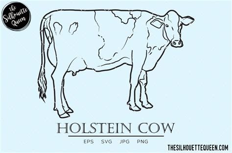 Holstein Cow Vector Graphic by thesilhouettequeenshop · Creative Fabrica