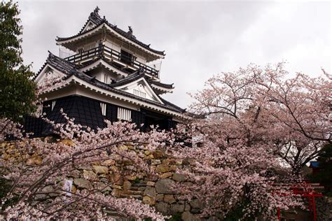 Hamamatsu Castle Park (Shizuoka Prefecture) » Zooming Japan