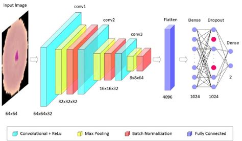 Custom CNN architecture. | Download Scientific Diagram