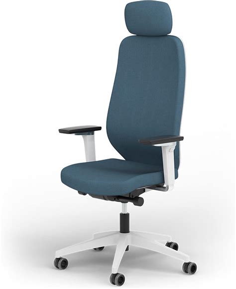 Ergotopia® MasterBack Pro Ergonomic Office Chair with 3D Tilt Mechanism - Premium Desk Chair ...