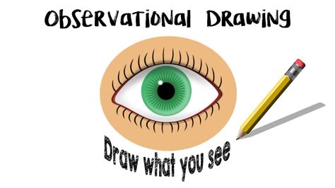 Observational Drawing- Draw What You See! (Week 7) - YouTube