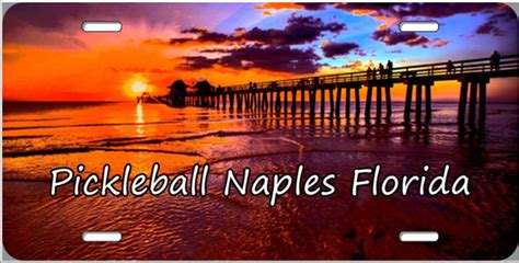 Pickleball Naples License Plate