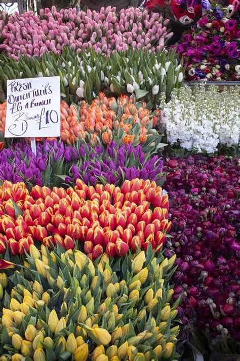 NJ IN LA | Columbia Road Flower Market - Exploring One of London’s ...