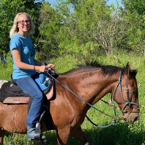 Meet the Horses - Maverick Horseback Riding