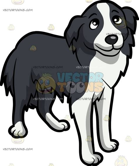 Cute dog drawing, Border collie puppies, Border collie art