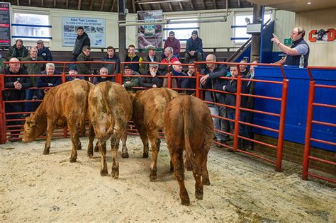 Longtown Mart Store Cattle Sale Report - Tuesday 17th March 2020