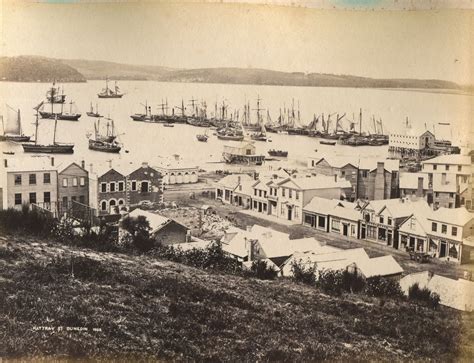 Dunedin - Rattray Street 1862 | Scotland history, Dunedin, Dunedin new ...