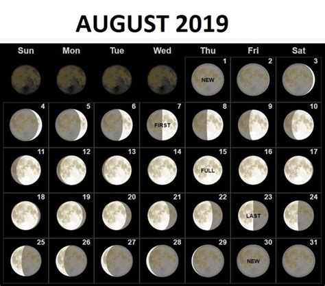 august 2019 moon phases calendar | Moon phase calendar, Moon calendar ...