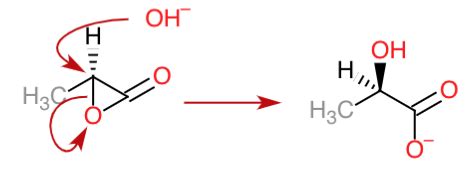 organic chemistry - Mechanism of three-membered lactone hydrolysis in ...