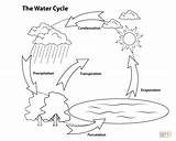Water Cycle Coloring Pages  Home sketch template
