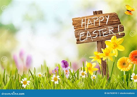 319,420 Happy Easter Photos - Free & Royalty-Free Stock Photos from Dreamstime