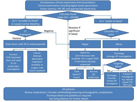 Diagnosis and management of acute lower gastrointestinal bleeding ...