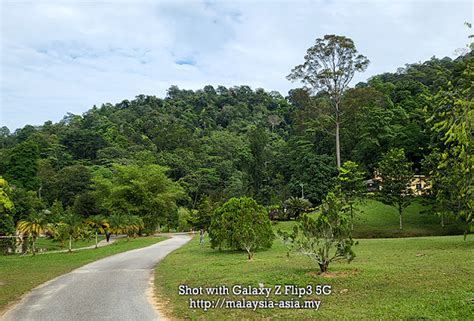 Kepong Forest Skywalk FRIM