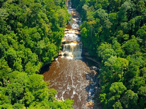 Maliau Basin the Lost World - 5 Days | Wildlife Tours - Outback Venture Sdn Bhd