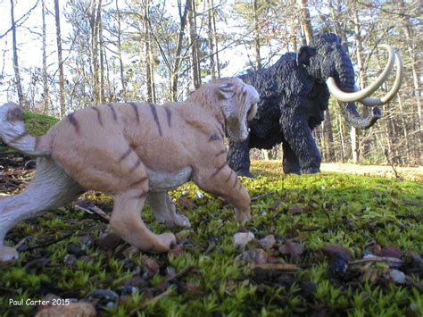 Smilodon Vs Wooly Mammoth. by Carnosaur on DeviantArt