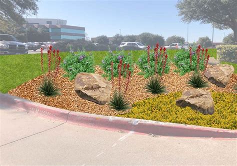 The 12 Best Drought-Tolerant Plants For Dallas, Texas Commercial ...