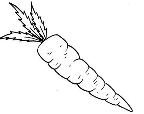 Carrot coloring page