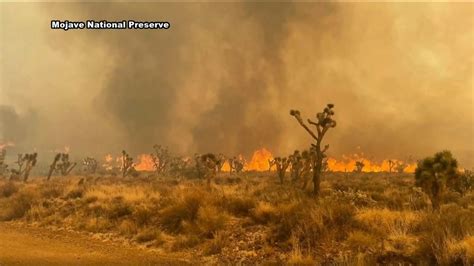 York Fire crosses state line from California into Nevada