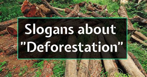 Slogans about Deforestation