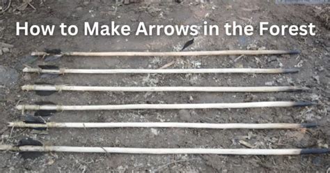 How to Make Arrows in the Forest: A Comprehensive Guide