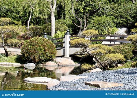 Japanese Garden with Bridge and Koi Pond Stock Image - Image of ...