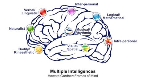 Multiple Intelligences/ Howard Gardner... | Download Scientific Diagram