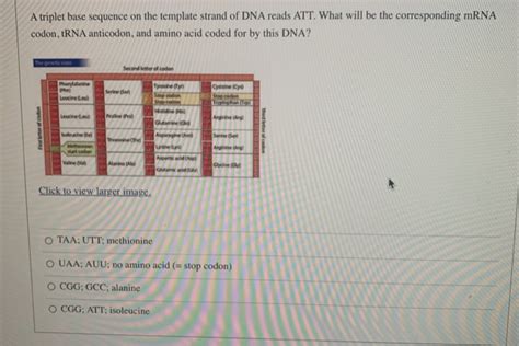 Solved A triplet base sequence on the template strand of DNA | Chegg.com