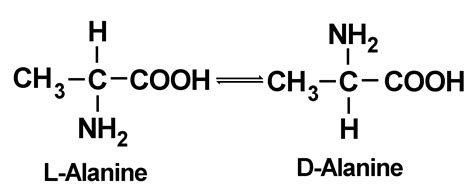 D-amino acids - meddic