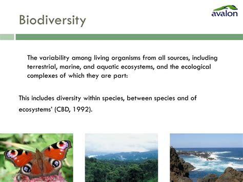 PPT - Biodiversity and Business workShop Opportunities for Pro-biodiversity Business PowerPoint ...