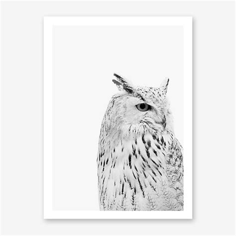 Owl Art Print | Owl art print, Art prints, Art