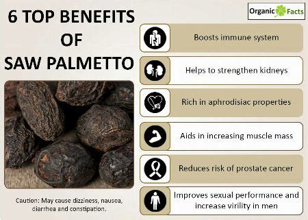 Saw Palmetto Extract Combo With Pygeum Lycopene Pumpkin Seed Oil. 60gels [ Natural & Herbal ...