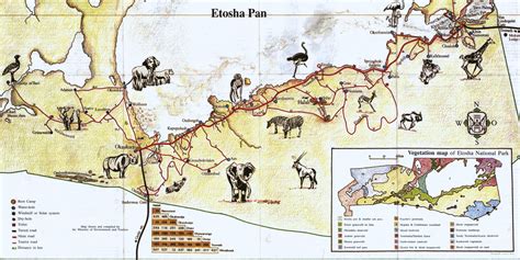 The Hai||om and their history in the Etosha National Park