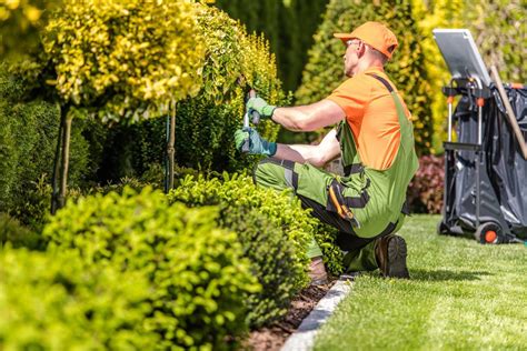 Les solutions adaptées pour les travaux de jardinage – Maison online