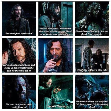 Harry Potter World on Twitter: "Sirius Black movie quotes. # ...